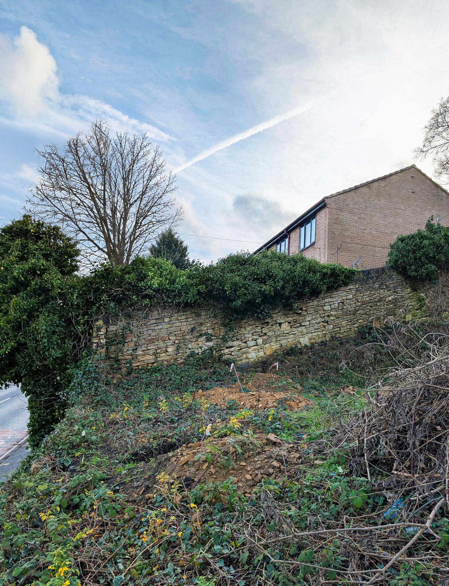 Site before construction: an undeveloped slope with a stone retaining wall and setting-out